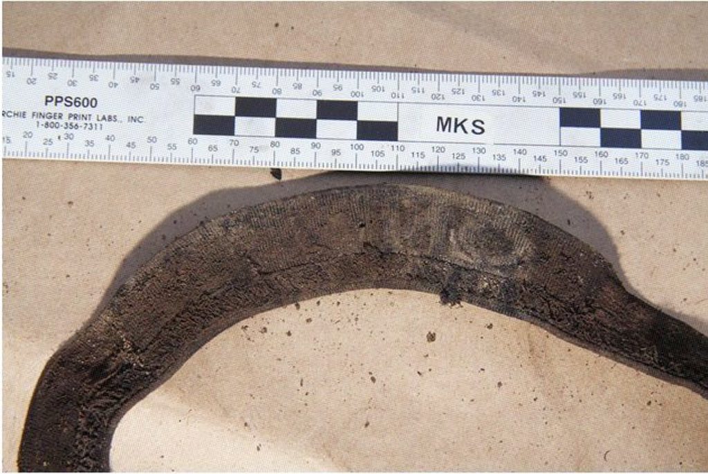 The ribbing of the Bonds underpants to belong to Daniel Morcombe found by police divers in Coochin Creek. The ribbing of the Bonds underpants to belong to Daniel Morcombe found by police divers in Coochin Creek.